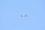 Dcim18162/DSC_0721