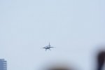 Dcim18162/DSC_0722