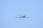 Dcim18162/DSC_0731