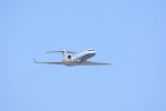 Dcim18162/DSC_0733