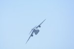 Dcim18162/DSC_0801