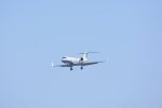 Dcim18162/DSC_0814