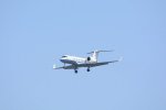 Dcim18162/DSC_0816