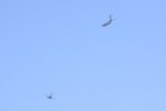 Dcim18163/DSC_0926