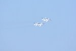 Dcim18163/DSC_0971