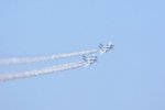 Dcim18163/DSC_0974