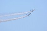 Dcim18163/DSC_0976
