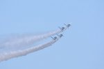 Dcim18163/DSC_0978