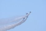 Dcim18163/DSC_0979