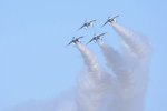Dcim18163/DSC_0990