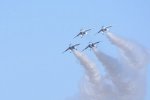 Dcim18163/DSC_0991