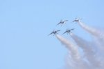 Dcim18163/DSC_0992