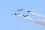 Dcim18163/DSC_1002