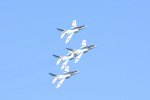 Dcim18163/DSC_1075