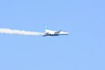Dcim18164/DSC_1104