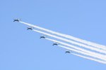 Dcim18164/DSC_1116