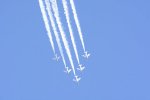 Dcim18164/DSC_1171