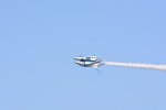Dcim18164/DSC_1246