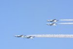 Dcim18164/DSC_1295