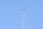 Dcim18164/DSC_1309