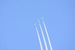 Dcim18164/DSC_1312