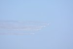 Dcim18165/DSC_1419