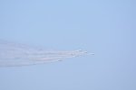 Dcim18165/DSC_1423