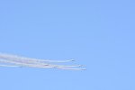 Dcim18165/DSC_1442