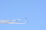 Dcim18165/DSC_1443
