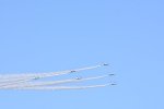 Dcim18165/DSC_1444