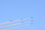 Dcim18165/DSC_1445