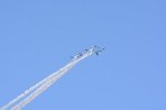 Dcim18165/DSC_1495