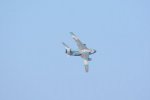 Dcim18166/DSC_1601