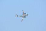 Dcim18166/DSC_1607
