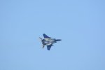 Dcim18166/DSC_1696