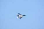 Dcim18166/DSC_1702