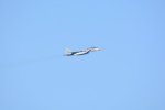Dcim18166/DSC_1707