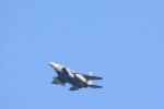 Dcim18166/DSC_1733