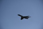 Dcim18167/DSC_8288