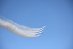 Dcim18168/DSC_8513