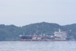 Dcim18172/DSC_1875