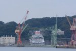 Dcim18172/DSC_1971