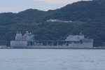 Dcim18172/DSC_1982