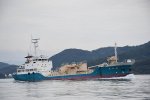Dcim18176/DSC_9239