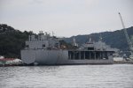 Dcim18176/DSC_9256