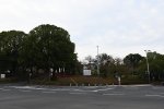 Dcim18178/DSC_9494