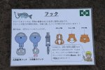Dcim18185/DSC_0015