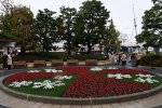 Dcim18195/DSC_1015