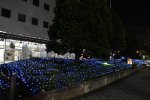 Dcim18209/DSC_2568