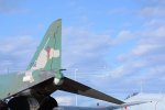 Dcim18210/DSC_2697
